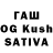 Галлюциногенные грибы Psilocybine cubensis Spiritual Growth