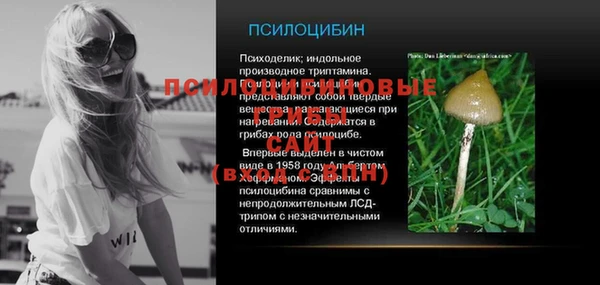 гидропоника Горнозаводск