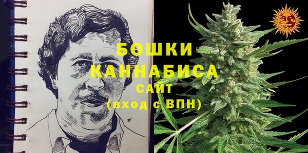 СК Вяземский
