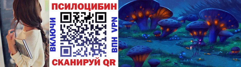 наркотики  Инза  Псилоцибиновые грибы прущие грибы 